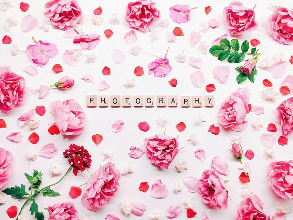 What are the best UK campsites for photography enthusiasts?