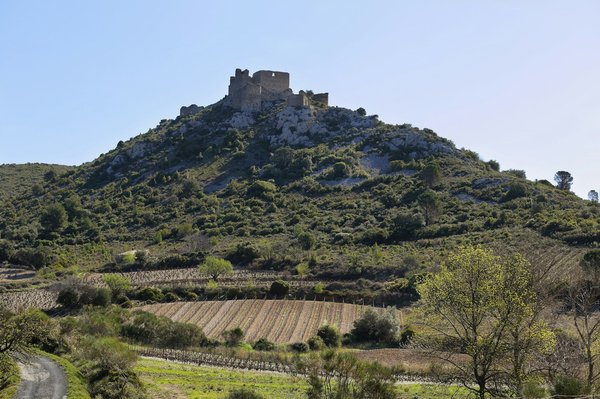 Discover Cornwall"s Top Coastal Towns for Uncovering Historic Smuggling Trails